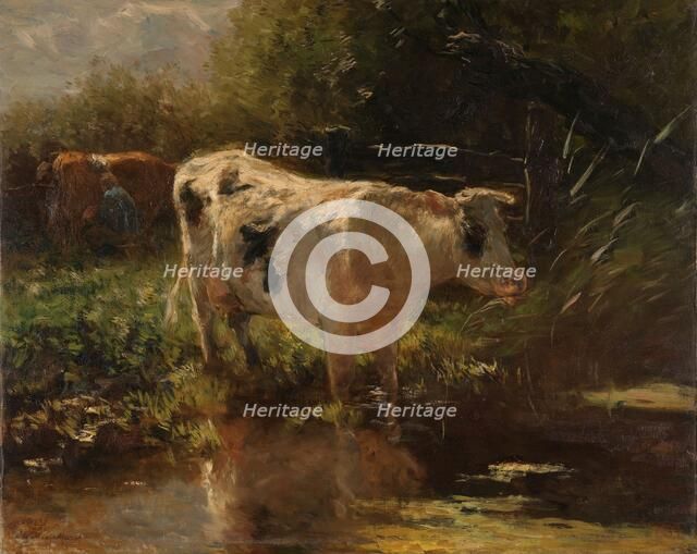 Cow beside a Ditch, c.1885-c.1895. Creator: Willem Maris.