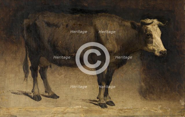 Cow, c1870s. Creator: Andre Plumot.