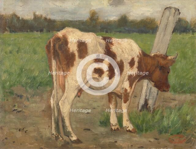 Cow, c.1873-c.1903. Creator: George Poggenbeek.