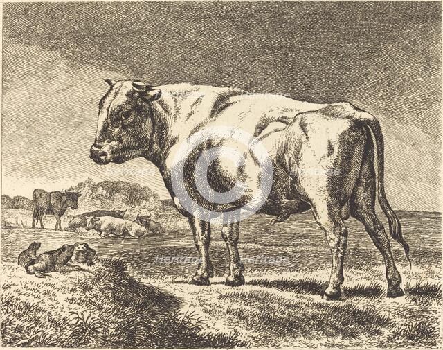 Cow. Creator: Unknown.