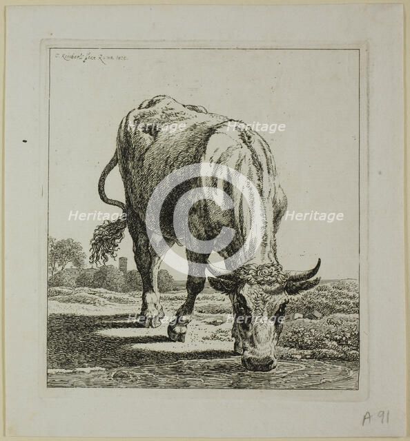 Cow Drinking, from Die Zweite Thierfolge, 1800. Creator: Johann Christian Reinhart.