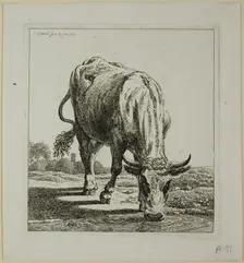 Cow Drinking, from Die Zweite Thierfolge, 1800. Creator: Johann Christian Reinhart