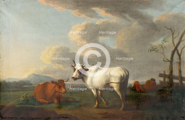 Cow Grazing, 1850-1860. Creator: Unknown.