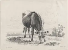 Cow grazing, 1805., 1805. Creator: Adam von Bartsch