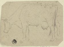 Cow Grazing (recto); Head of an Animal (verso), n.d. Creator: Unknown