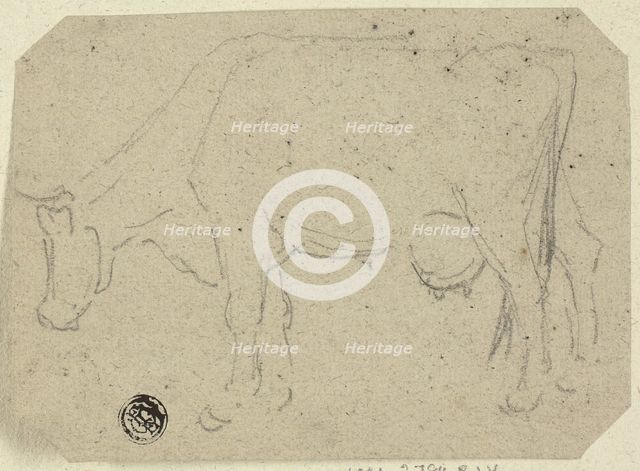Cow Grazing (recto); Head of an Animal (verso), n.d. Creator: Unknown.