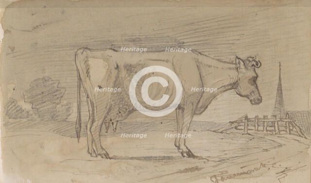 Cow in a meadow, 1864-1880. Creator: Johannes Tavenraat.