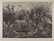 Cow in a Stream, n.d. Creator: Carl Wilhelm Kolbe the elder