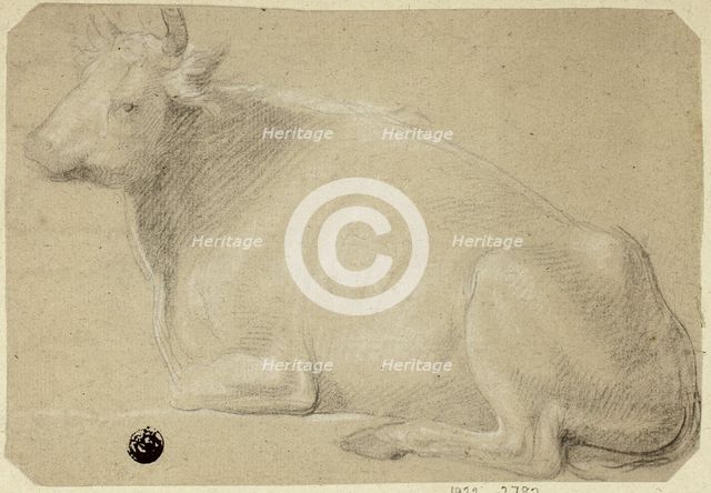 Cow Lying on Haunches, n.d. Creator: Unknown.