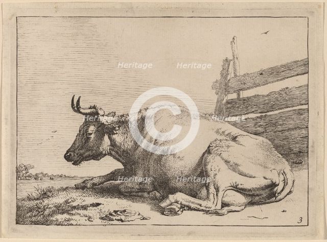Cow Lying Down near a Fence, 1650. Creator: Paulus Potter.