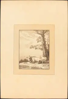 Cow Resting, published 1782. Creator: Regina Schönecker
