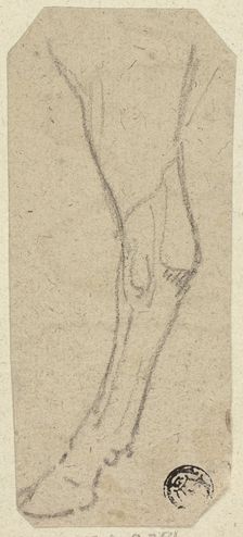 Cow's Leg, n.d. Creator: Unknown