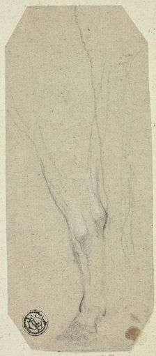 Cow's Leg, n.d. Creator: Unknown