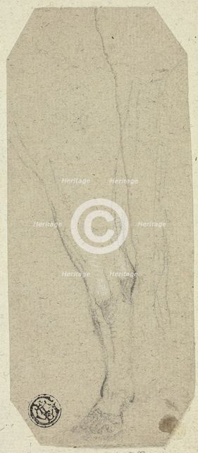 Cow's Leg, n.d. Creator: Unknown.