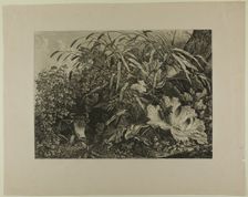 Cow Standing in a Swamp, n.d. Creator: Carl Wilhelm Kolbe the elder
