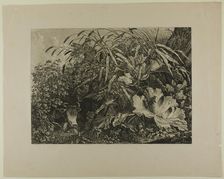 Cow Standing in a Swamp, n.d. Creator: Carl Wilhelm Kolbe the elder