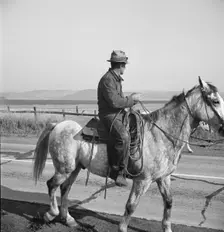 Cowboy coming in from the hills, San Luis Obispo County, California, 1938. Creator: Dorothea Lange