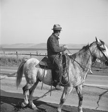 Cowboy coming in from the hills, San Luis Obispo County, California, 1938. Creator: Dorothea Lange