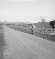 Cowboy coming in from the hills, San Luis Obispo County, California, 1939. Creator: Dorothea Lange