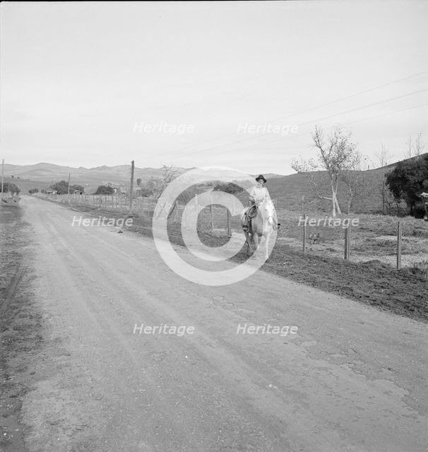 Cowboy coming in from the hills, San Luis Obispo County, California, 1939. Creator: Dorothea Lange.