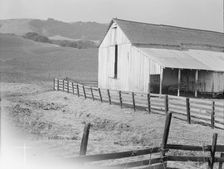 Cowbarn and hills, California dairy ranch, Contra Costa County, California, 1938. Creator: Dorothea Lange