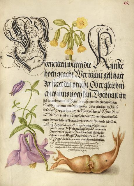 Cowslip, European Columbine, and Giant Filbert, 1561-1562; illumination added 1591-1596. Creator: Joris Hoefnagel.