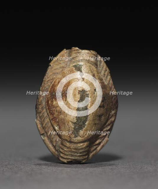 Cowroid, 1450-1350 BC. Creator: Unknown.