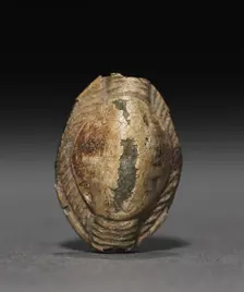 Cowroid, 1450-1350 BC. Creator: Unknown