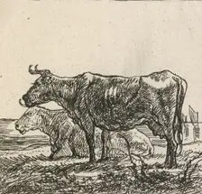 Cows, 1640-1665. Creator: Aelbert Cuyp