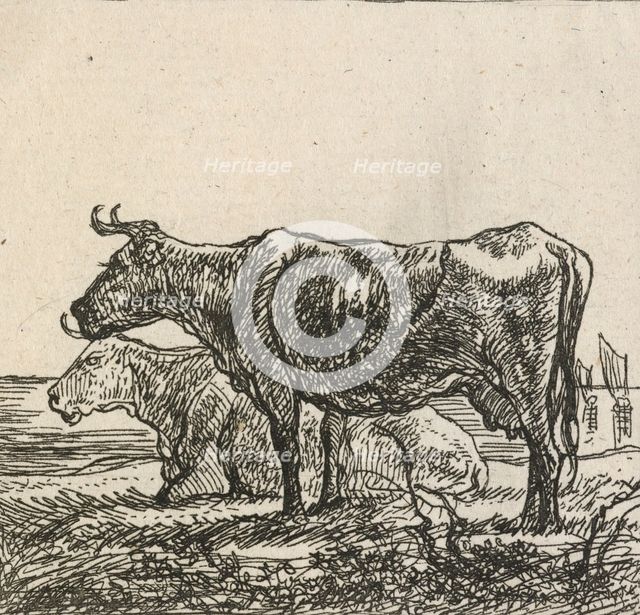 Cows,  1640-1665. Creator: Aelbert Cuyp.