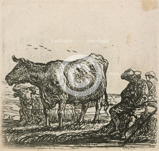 Cows, 1640-1665. Creator: Aelbert Cuyp.