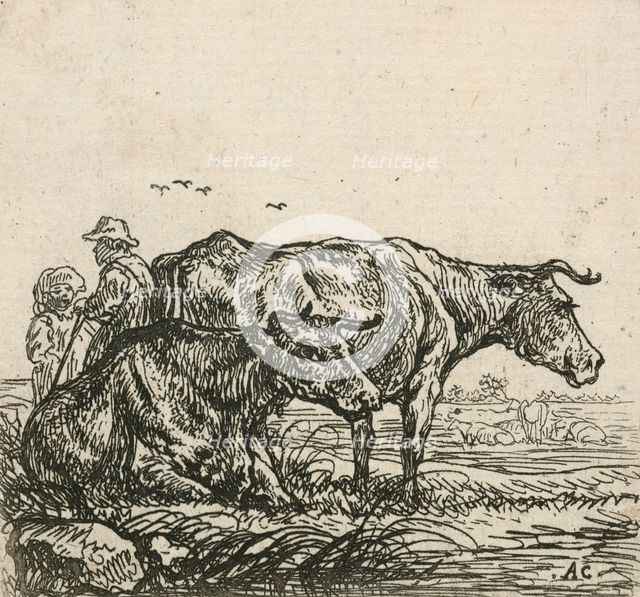 Cows,  1640-1665. Creator: Aelbert Cuyp.