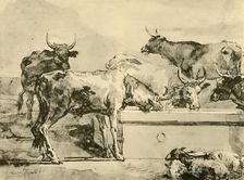 Cows watering mid-late 18th century, (1928). Artist: Giovanni Domenico Tiepolo