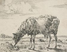 Cows and a sheep. Plate 8: A grazing sheep, 1664. Creator: Marcus de Bye