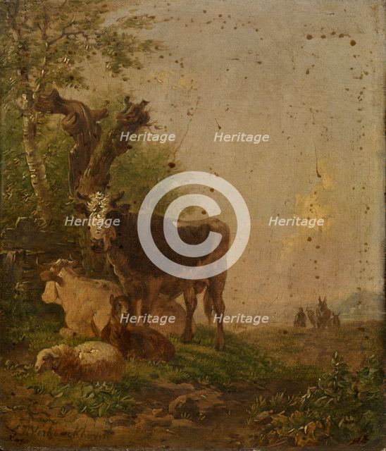 Cows and Sheep, mid-late 19th century. Creator: Eugène Verboeckhoven.