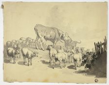 Cows and Sheep, n.d. Creator: Robert Hills