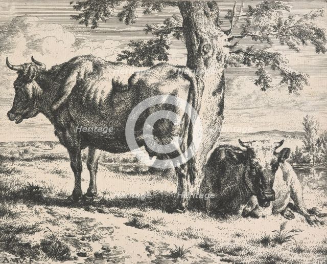 Cows and sheep. Plate 3: Two cows under a tree, 1650-1672. Creator: Adriaen van de Velde.