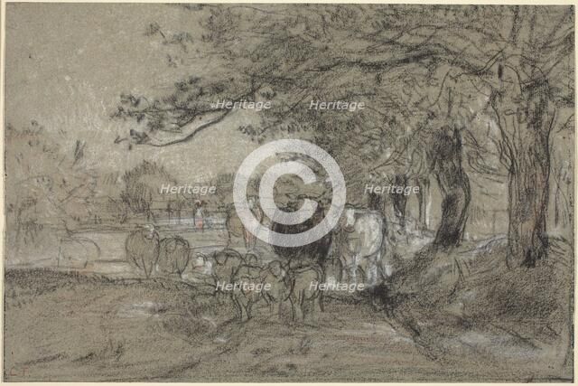 Cows and Sheep under Trees, c. 1850. Creator: Constant Troyon.