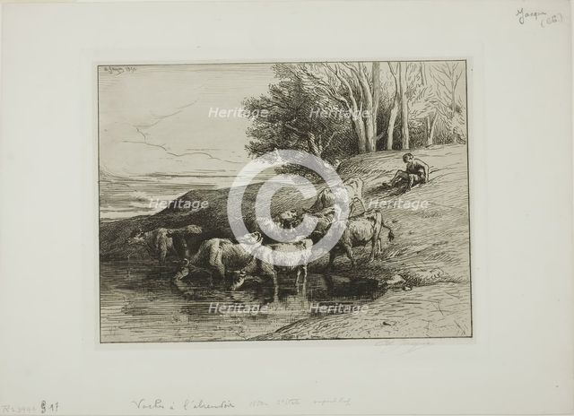 Cows at the Watering Place, 1850. Creator: Charles Emile Jacque.