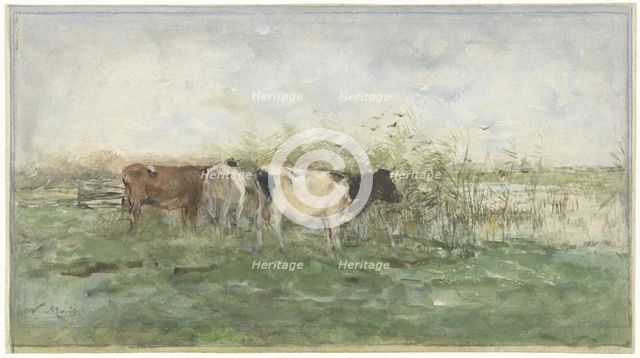 Cows at a puddle, 1844-1910. Creator: Willem Maris.