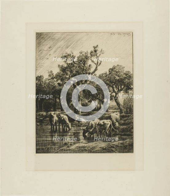 Cows at a Watering Place, 1878. Creator: Charles Emile Jacque.