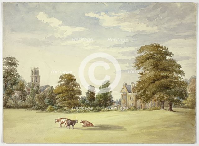 Cows before Manor House and Church, n.d. Creator: Elizabeth Murray.