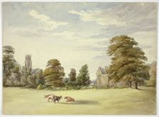 Cows before Manor House and Church, n.d. Creator: Elizabeth Murray