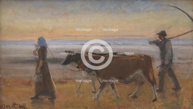 Cows Being Driven across the Moor, 1902. Creator: Michael Peter Ancher.