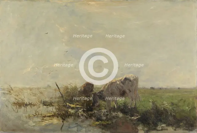Cows by a pond, 1880-1910.  Creator: Willem Maris.