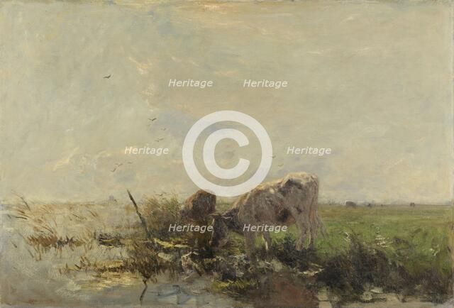 Cows by a pond, 1880-1910.  Creator: Willem Maris.