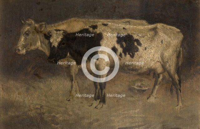 Cows, c1870s. Creator: Andre Plumot.