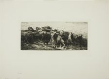 Cows Drinking from the River, 1878. Creator: Charles Emile Jacque