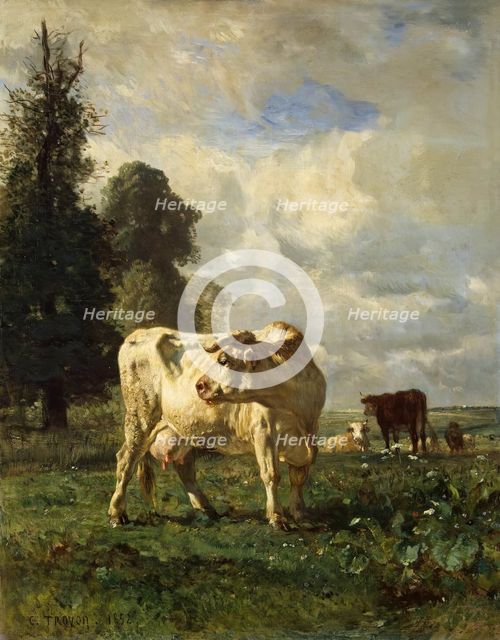 Cows in the Field, 1852. Creator: Constant Troyon.