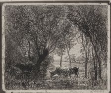 Cows in the Woods, original impression 1862, printed in 1921. Creator: Charles François Daubigny (French, 1817-1878)